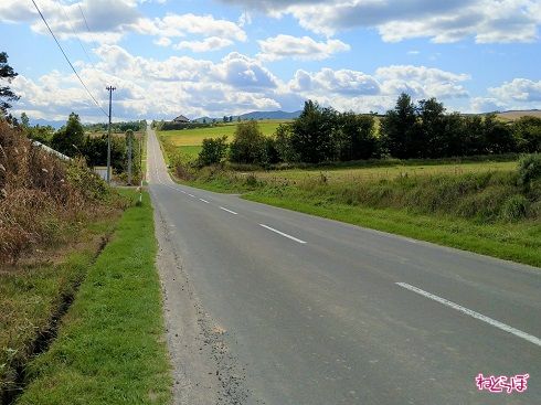 下って、一気にまた駆け上ります