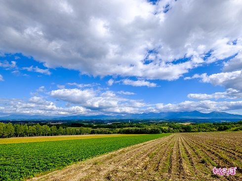 上富良野の雄大な大自然が、わたしたちを包んでくれます