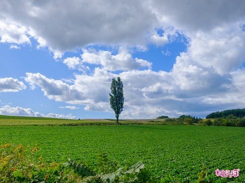 ポスターのような写真が撮れました。かっこいい！