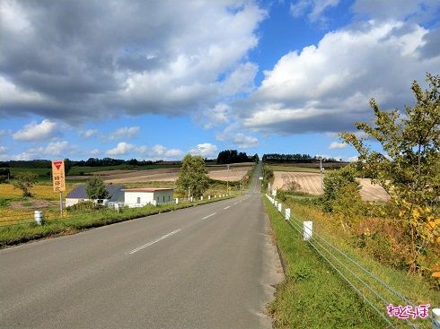 10％勾配の坂（手前）を上から撮影