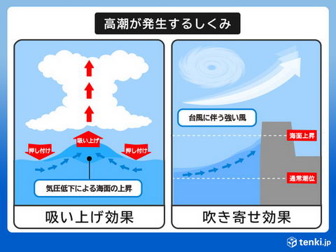 吸い上げ効果とは