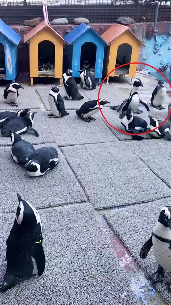 東北サファリパーク