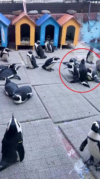 東北サファリパーク