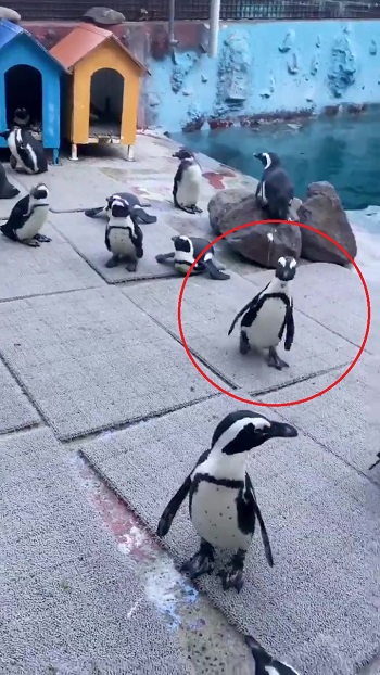 東北サファリパーク