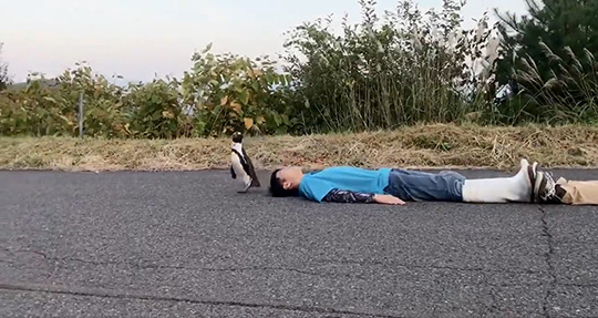 東北サファリパーク