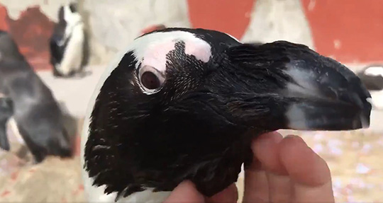 東北サファリパーク