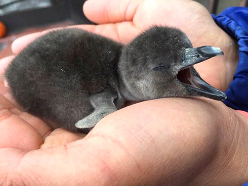 東北サファリパーク
