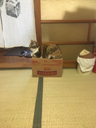 グラドルウメ様