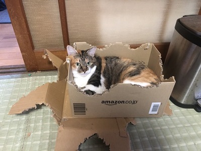 グラドルウメ様