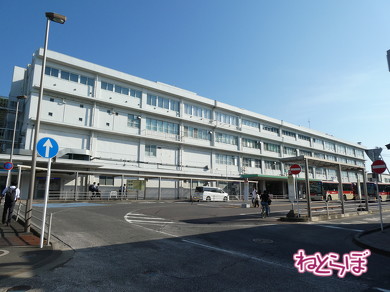 青春18きっぷ 使い方 オススメスポット