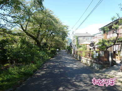 青春18きっぷ 使い方 オススメスポット