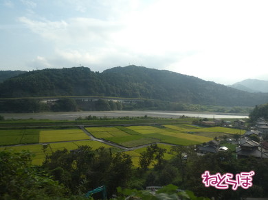 青春18きっぷ 使い方 オススメスポット