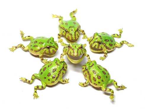 耳を噛む かじる カエル アクセ イヤーカフ ベルツノガエル ハンドメイド