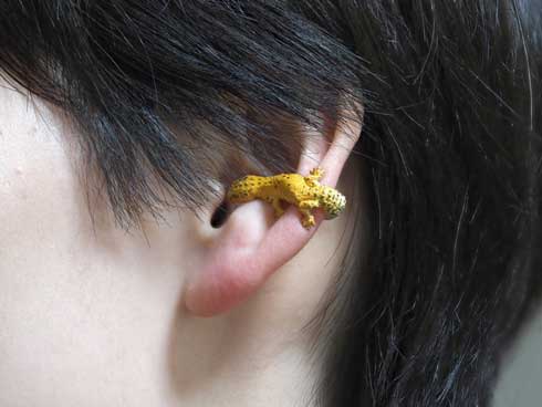 耳を噛む かじる カエル アクセ イヤーカフ ベルツノガエル ハンドメイド