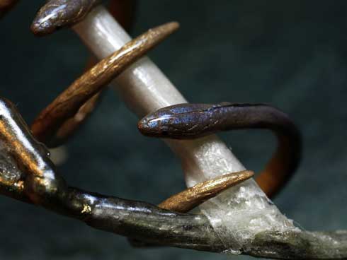 耳を噛む かじる カエル アクセ イヤーカフ ベルツノガエル ハンドメイド