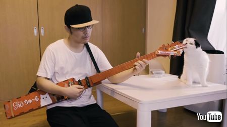 ちゅ〜るギターからちゅ〜るを食べる猫