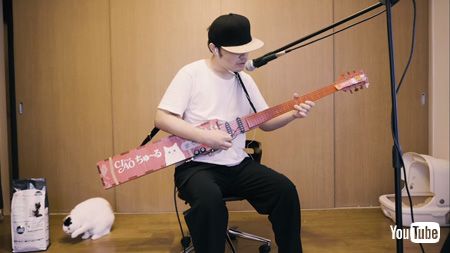 歌う飼い主さんと顔を洗う猫