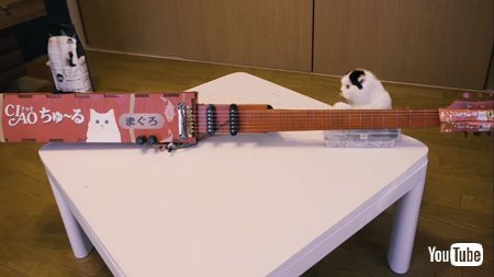 テーブルの上のちゅ〜るギターと猫