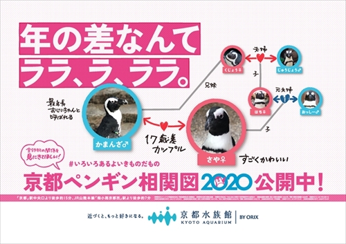 ペンギン相関図