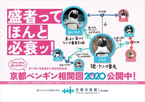 ペンギン相関図