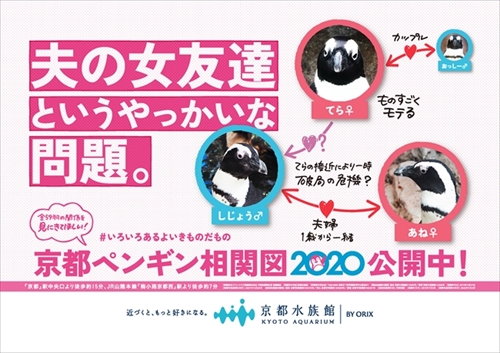 ペンギン相関図