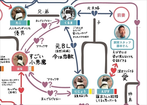 ペンギン相関図