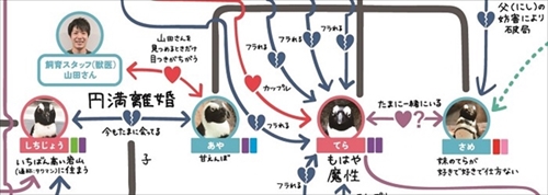 ペンギン相関図
