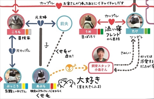 ペンギン相関図