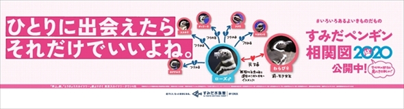 ペンギン相関図