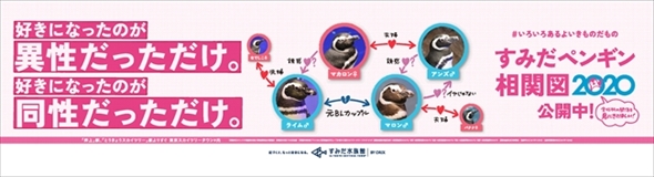 ペンギン相関図