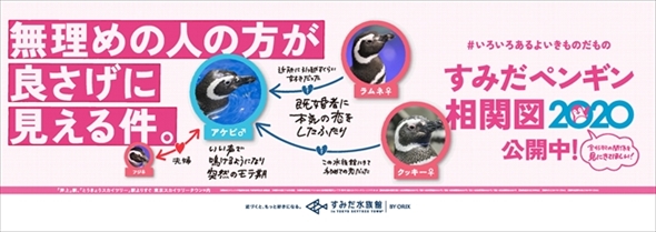 ペンギン相関図