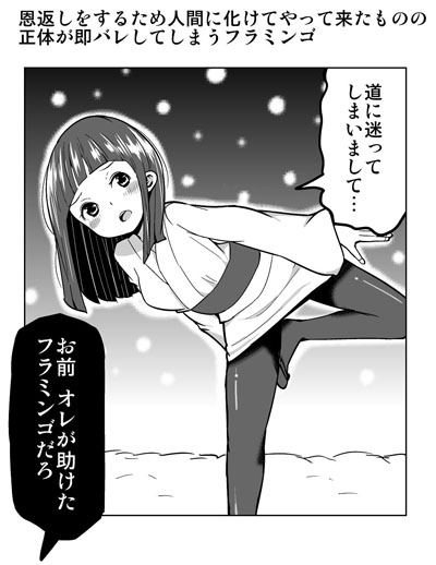 フラミンゴ
