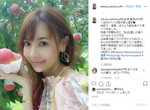 上原さくら 果物 毒 ブログ コメント リテラシー