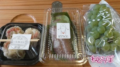 乗り鉄 北海道 道南いさりび鉄道 ながまれ海峡号 日本一貧乏 観光列車