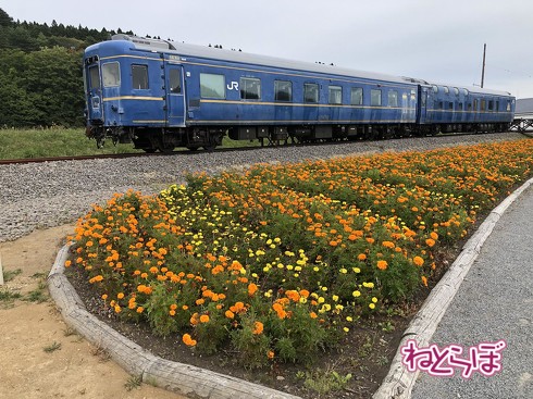 乗り鉄 北海道 道南いさりび鉄道 ながまれ海峡号 日本一貧乏 観光列車