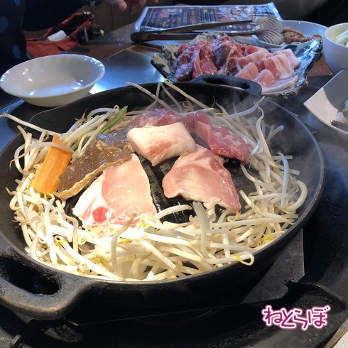 乗り鉄 北海道 道南いさりび鉄道 ながまれ海峡号 日本一貧乏 観光列車