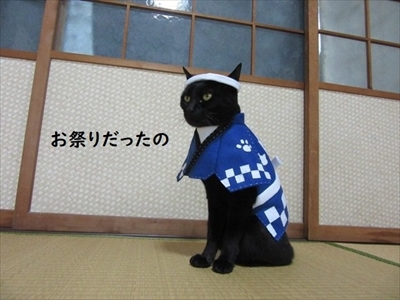 親指姫のコスプレをする猫ちゃん