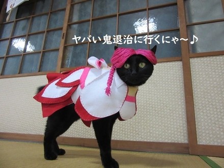 親指姫のコスプレをする猫ちゃん