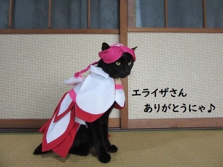 親指姫のコスプレをする猫ちゃん