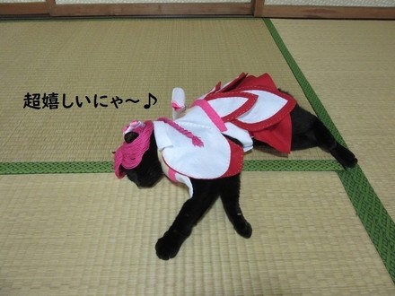 親指姫のコスプレをする猫ちゃん