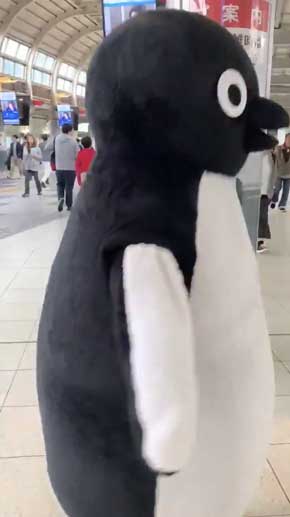 Suica ペンギン 着ぐるみ 動き サービス キレッキレ かわいい