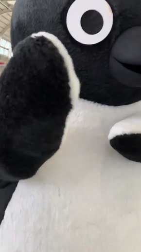 Suica ペンギン 着ぐるみ 動き サービス キレッキレ かわいい