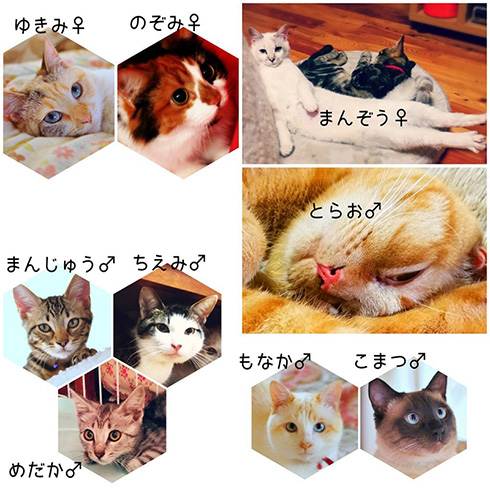 花＠惑星いちじくさん