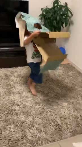 獅子舞 好き 子ども 男の子 真似 動き 段ボール 自作 頭 挟む 再現 Tシャツ