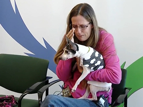 「いま起きていることが信じられない」　迷子だった愛犬と12年を経て再会