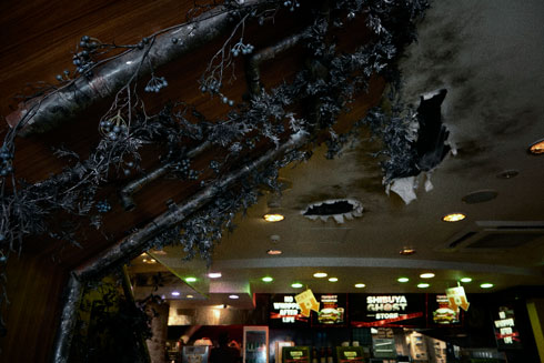 パイプに伝わる黒いツタ