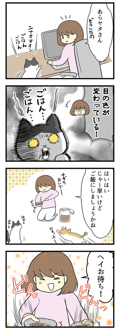 最近のよくわからない猫の儀式1