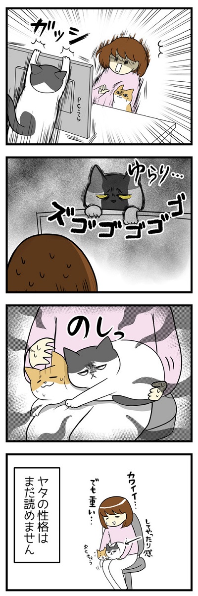 あまのじゃくか気まぐれか読めないんです2