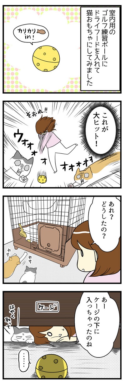  我が家の猫にヒット☆おもちゃで無限ループ1