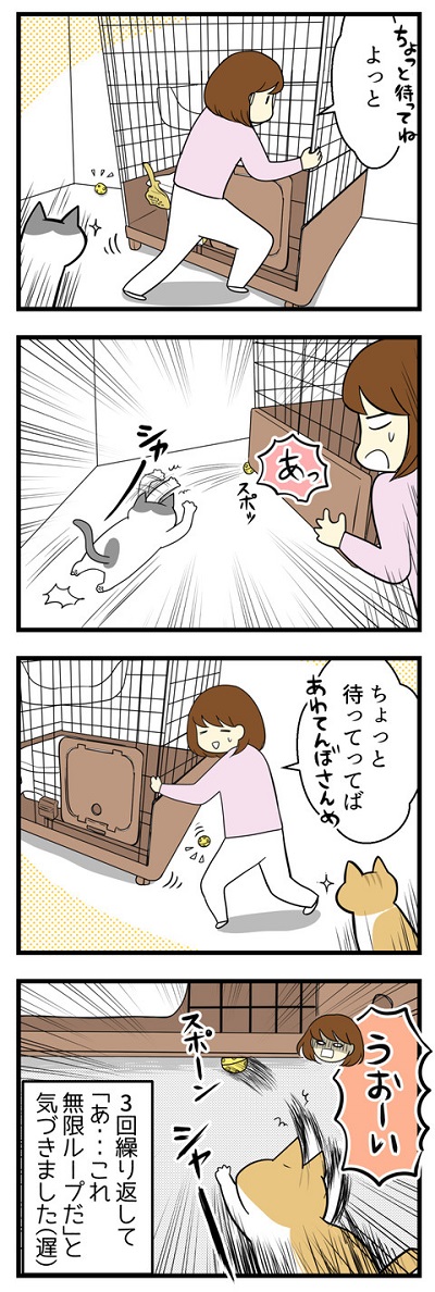  我が家の猫にヒット☆おもちゃで無限ループ2